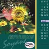 Calendrier sous main Soyane